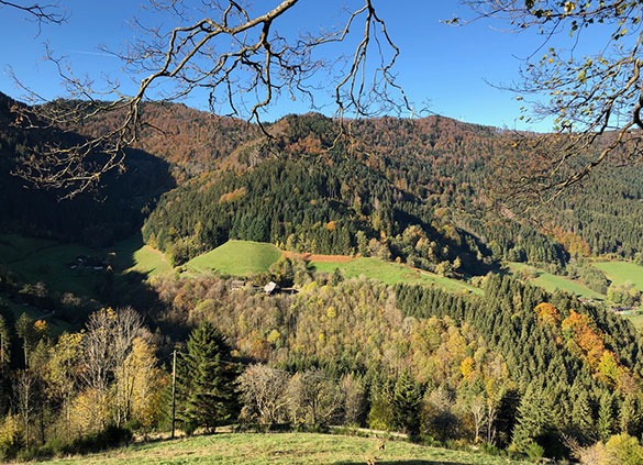 Die Haldenmühle im Schwarzwald