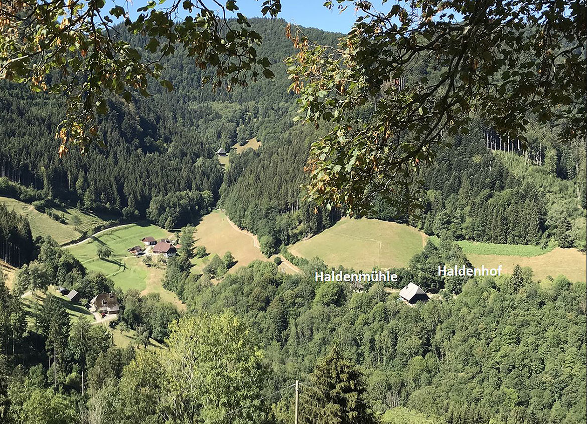 Die Lage der Haldenmühle im Schwarzwald